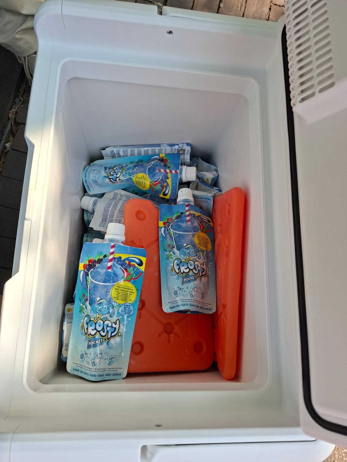 Mit Wassereis gefüllte Kühlbox am AfD-Infostand in Dülmen